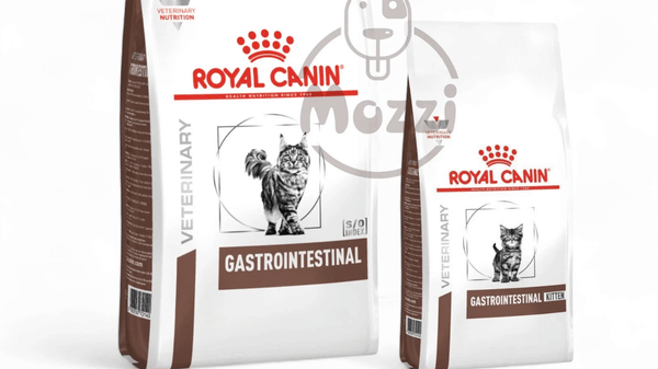 Thức ăn hạt cho mèo con Royal Canin Gastrointestinal