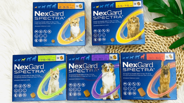 Thuốc xổ giun cho chó và trị ve bọ chét Nexgard Spectra