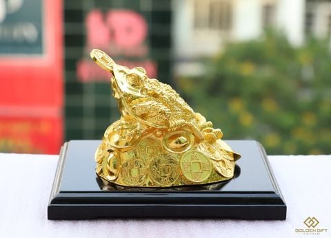 Đi dự khai trương nên tặng quà gì ý nghĩa và hợp phong thuỷ?