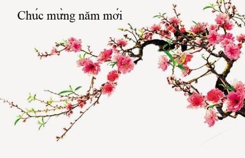 Những lời chúc ý nghĩa cho Tết thêm ấm áp, thân tình