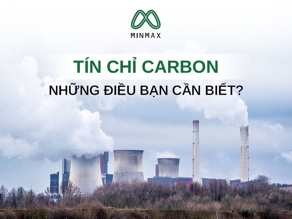 CARBON CREDITS AND WHAT BUSINESSES NEED TO KNOW?