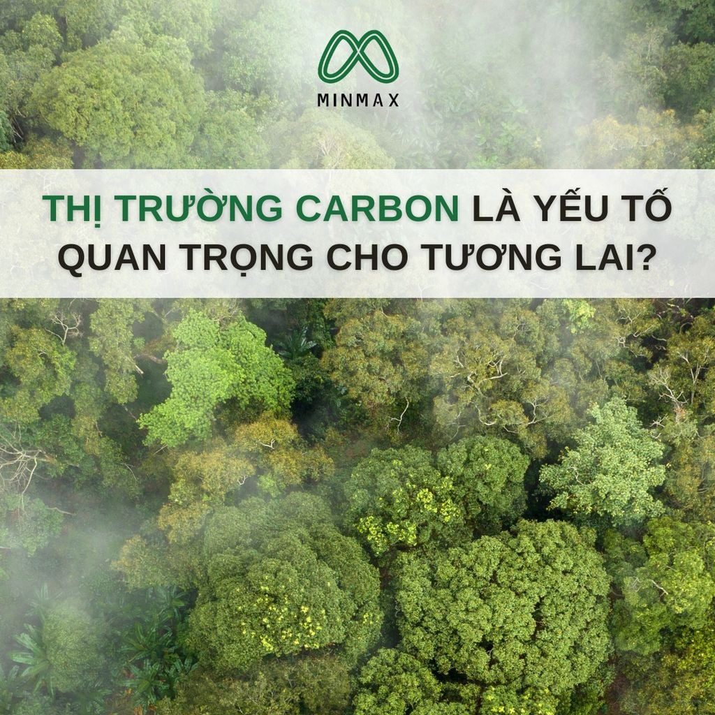 WHY IS THE CARBON MARKET AN IMPORTANT FACTOR FOR THE FUTURE?