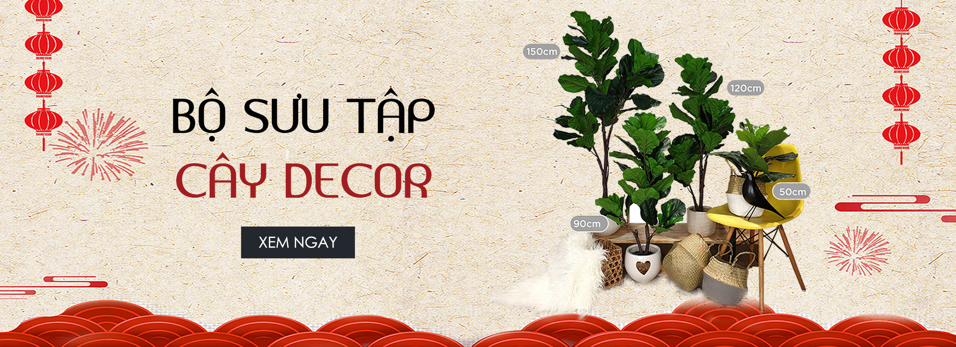 Bộ Sưu Tập Cây Decor