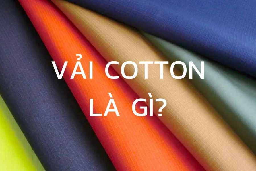 Vải cotton là gì, ứng dụng của sợi cotton trong thời trang