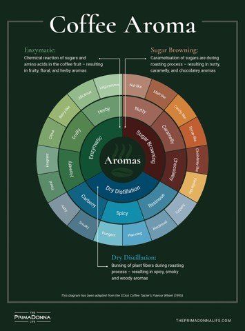 WHAT WE KNOW ABOUT COFFEE