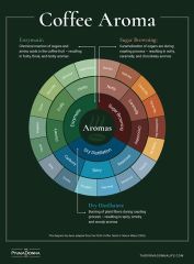 WHAT WE KNOW ABOUT COFFEE