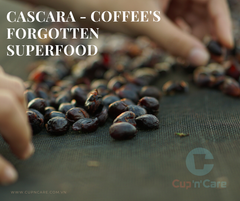 CASCARA – COFFEE’S FORGOTTEN SUPERFOOD