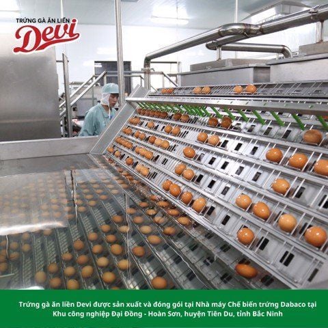 QUY TRÌNH SẢN XUẤT TRỨNG GÀ ĂN LIỀN DEVI