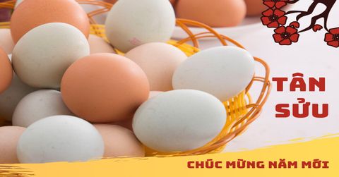 Trứng Gà Dabaco – Đong Đầy hạnh phúc.