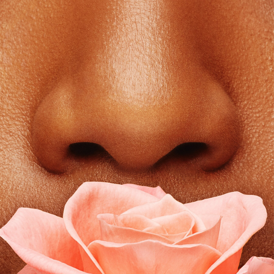 Làm thế nào để có thể miêu tả được một mùi hương một cách thuần thục hơn? (Part 2)