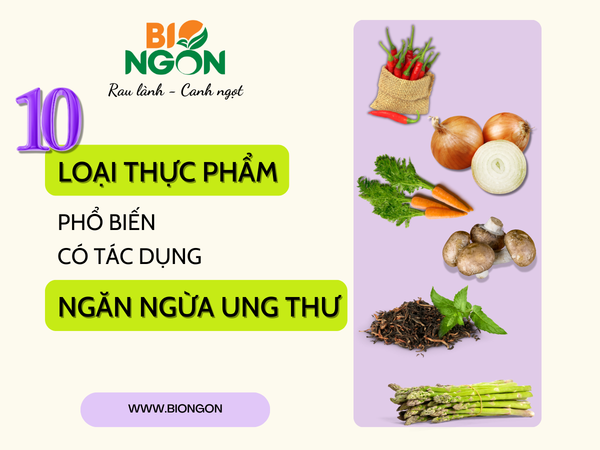 10 LOẠI THỰC PHẨM PHỔ BIẾN CÓ TÁC DỤNG NGỪA UNG THƯ