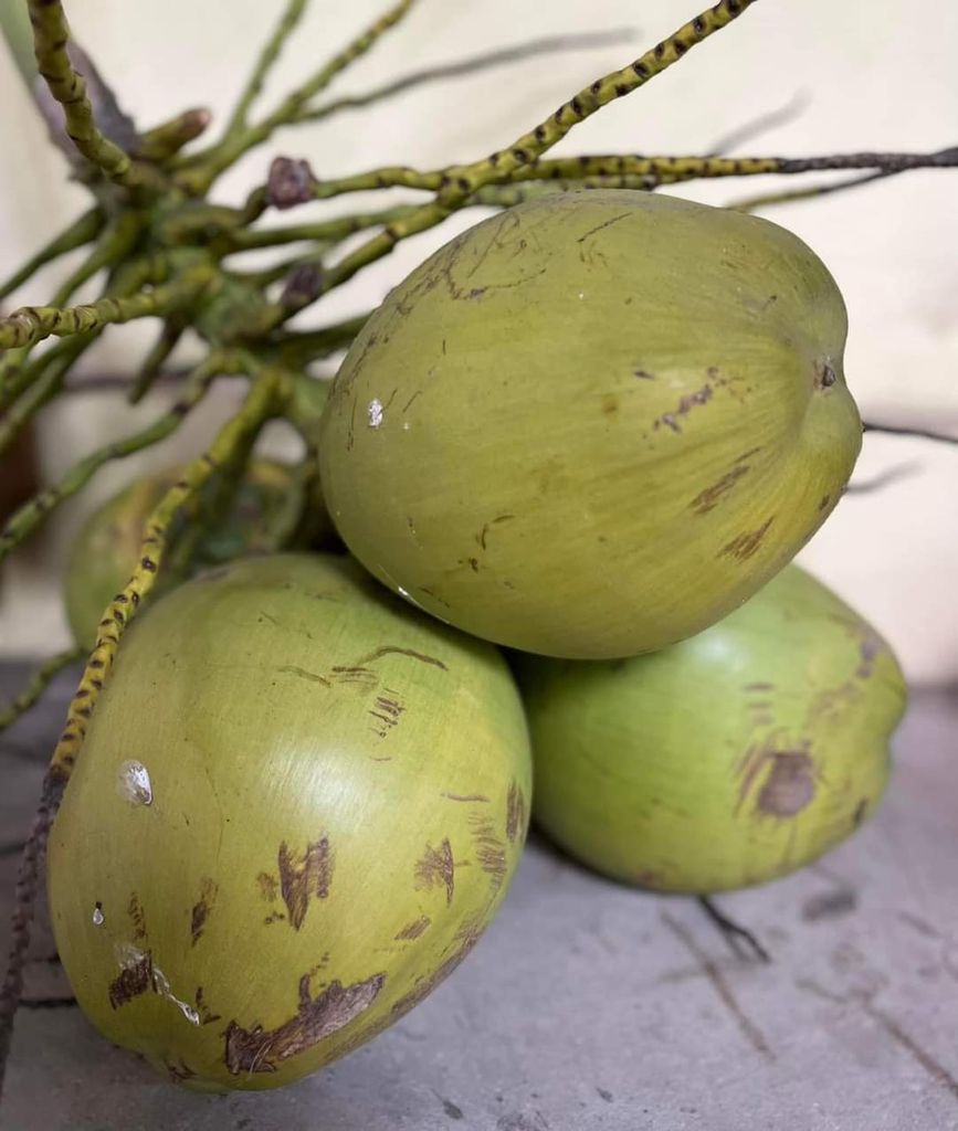 Nước dừa có tác dụng gì mà nhà nhà ưa chuộng