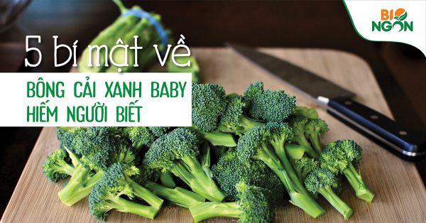 Bông Cải xanh Baby, 5 bí mật về Bông Cải Xanh Baby hiếm người biết