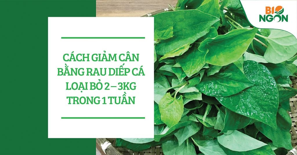 4. Các mẹo giảm cân nhanh bằng rau diếp cá