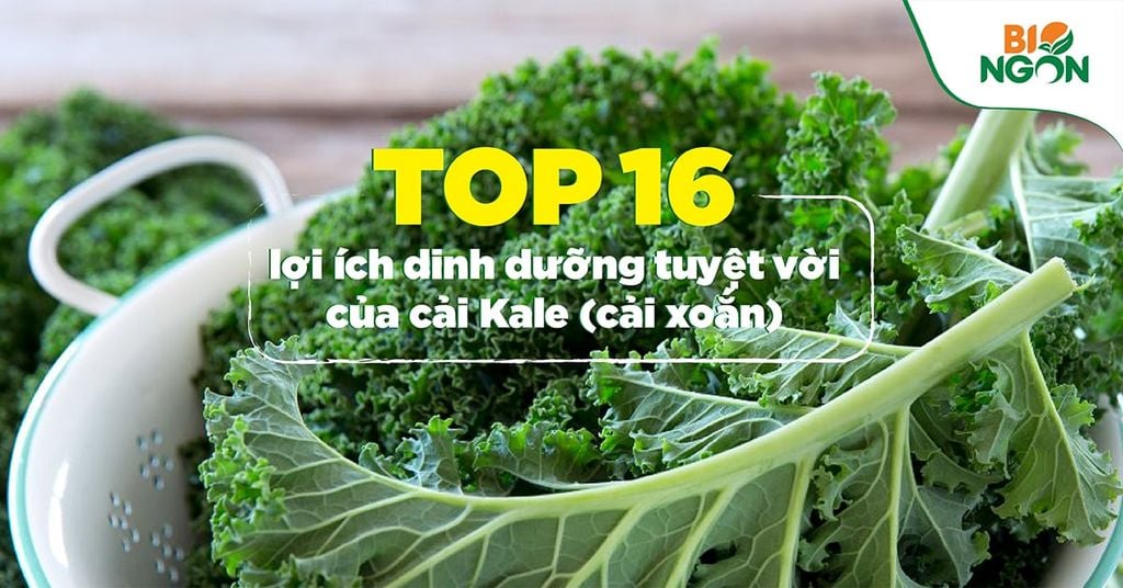 Top 16 lợi ích dinh dưỡng tuyệt vời của cải Kale (cải xoắn)
