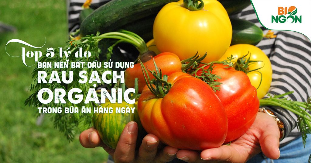 Top 5 lý do bạn nên bắt đầu sử dụng rau sạch organic trong bữa ăn hàng ngày