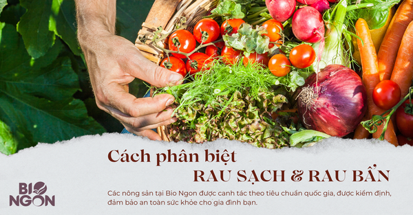 RAU SẠCH & RAU BẨN - LÀM THẾ NÀO ĐỂ NHẬN BIẾT???