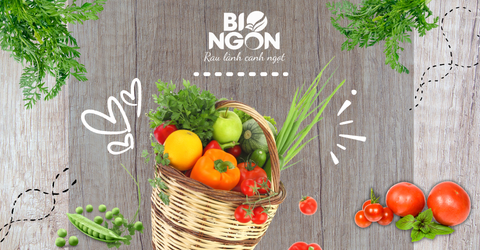 🌞 10 Món ăn ngày hè cùng Bio Ngon - Sống Khỏe, Sống Xanh 🌱