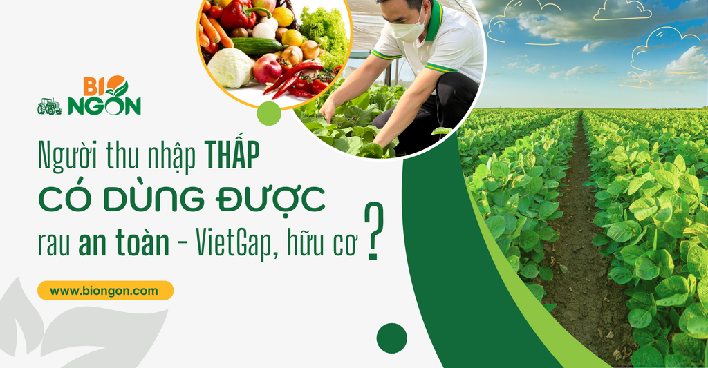 NGƯỜI THU NHẬP THẤP CÓ DÙNG ĐƯỢC RAU AN TOÀN