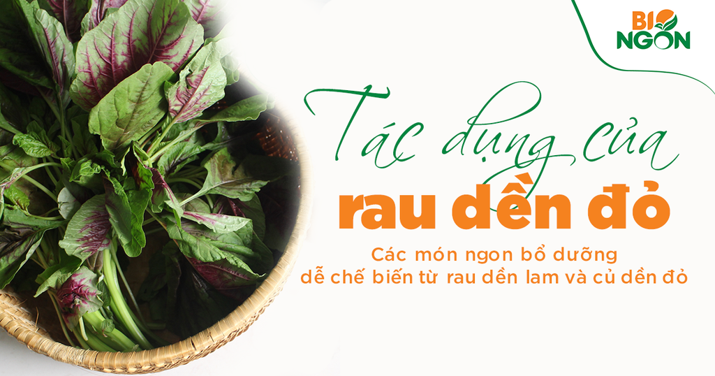 8 Tác dụng của rau dền đỏ và các món ngon bổ dưỡng từ rau dền, củ dền