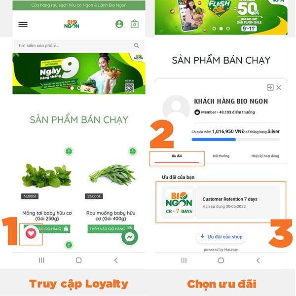 khuyến mãi cửa hàng rau củ online