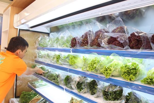 xu hướng thực phẩm sạch cửa hàng rau củ online