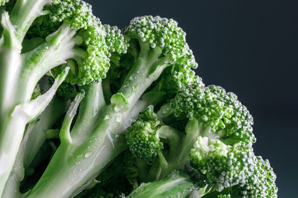ăn gì tăng sức đề kháng? cửa hàng rau củ hữu cơ súp lơ xanh bông cải xanh