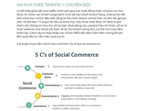 MÔ HÌNH FREE TRAFFIC - PHỄU CHUYỂN ĐỔI