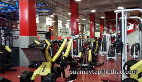 Sửa chữa thiết bị phòng Gym tại Hà Nội