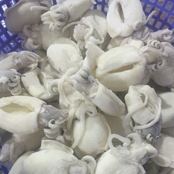 Mua Mực Nang Nút Ở Đâu