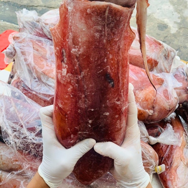 Chuyên Cung Cấp Sỉ Các Loại Mực