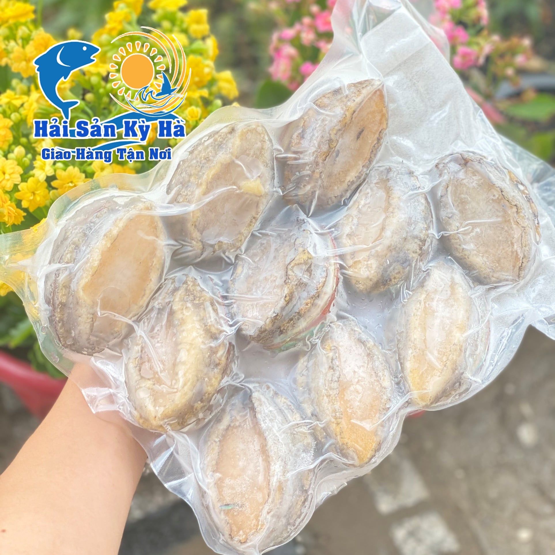 Ở Đâu Bán Bào Ngư Giá Rẻ