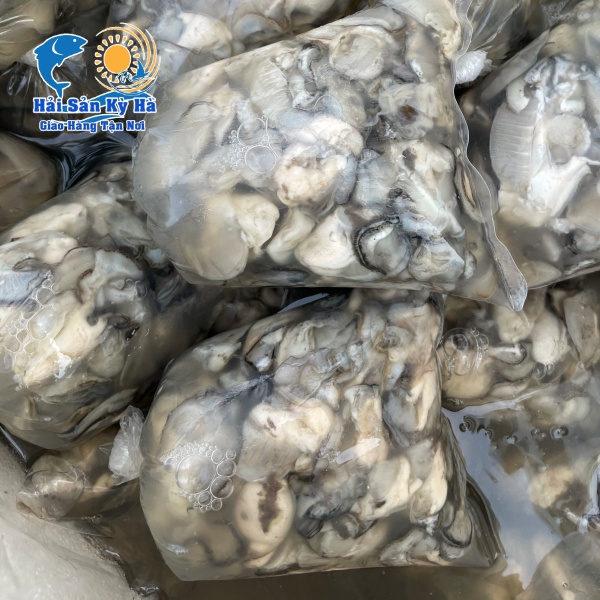 Mua Hàu Sữa Trực Tuyến