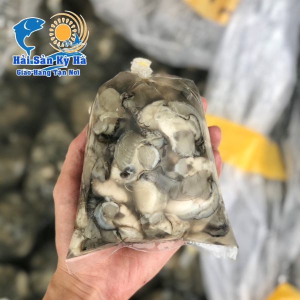 Cung Cấp Sỉ Thịt Hàu Sữa