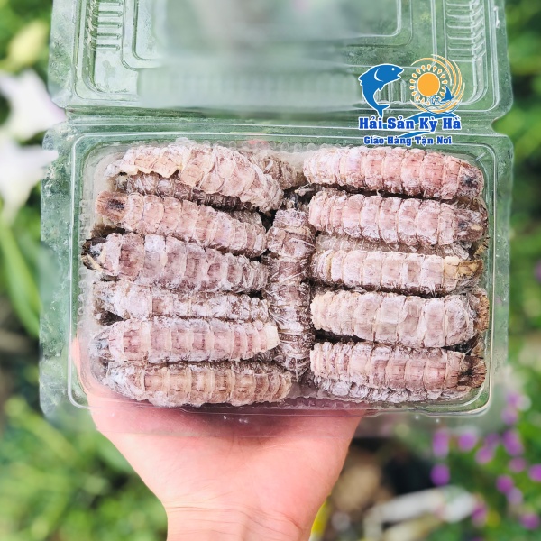 Ở Đâu Bán Thịt Tôm Tít