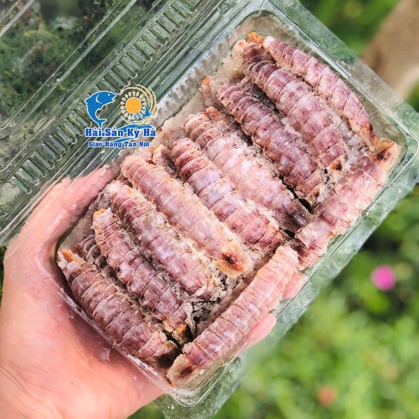 Nơi Bán Tôm Tít Gạch