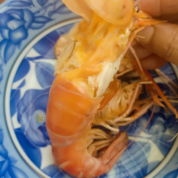 Phân Biệt Đầu Tôm Và Phân Tôm