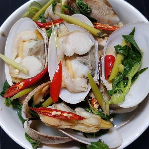 Nơi Bán Ngao 2 Cồi Ngon Nhất Hiện Nay