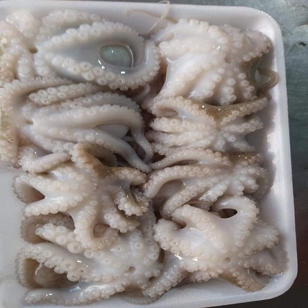 Cách làm 4 MÓN NGON VỚI BẠCH TUỘC