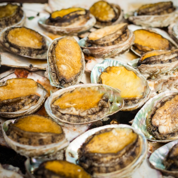 Nơi Cung Cấp Giá Sỉ Các Loại Bào Ngư