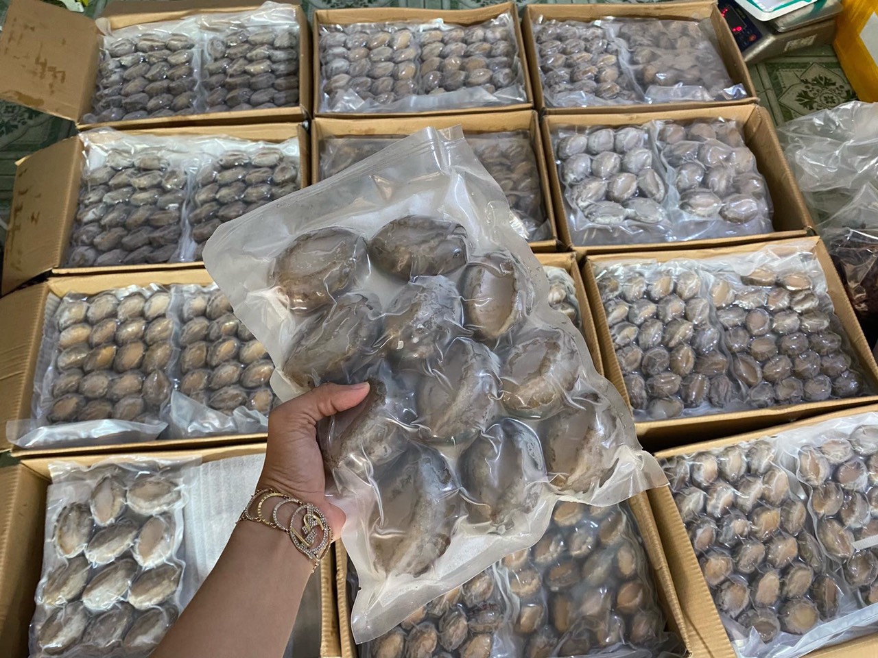 Công Dụng Của Bào Ngư Sau Khi Ăn