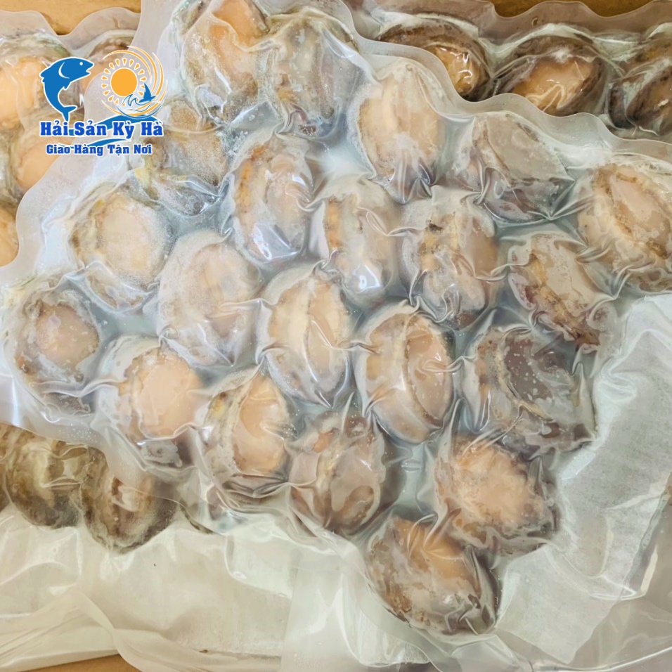 Mua Bào Ngư Giá Rẻ Nhất Hiện Nay - Miễn Phí Ship