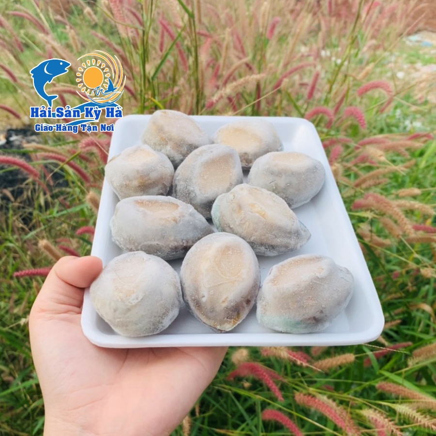 Địa chỉ mua bào ngư ở Tp.hcm