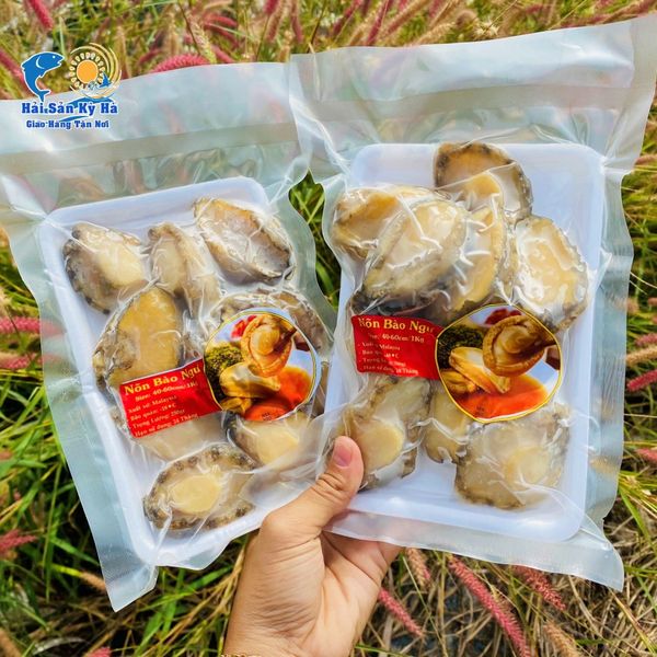 Mua Nõn Bào Ngư 30-40con/1Kg Giá Rẻ