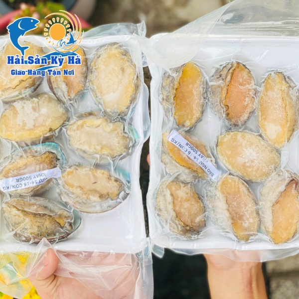 Mua Sỉ Bào Ngư Giá Rẻ