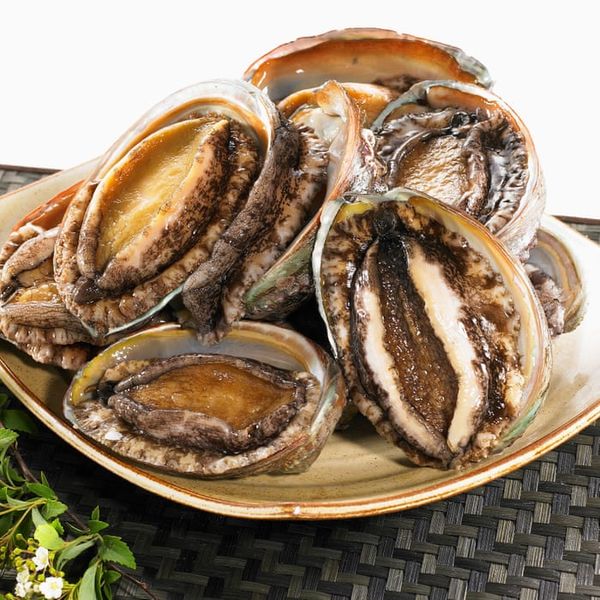 Mua Bào Ngư Hàng Cao Cấp