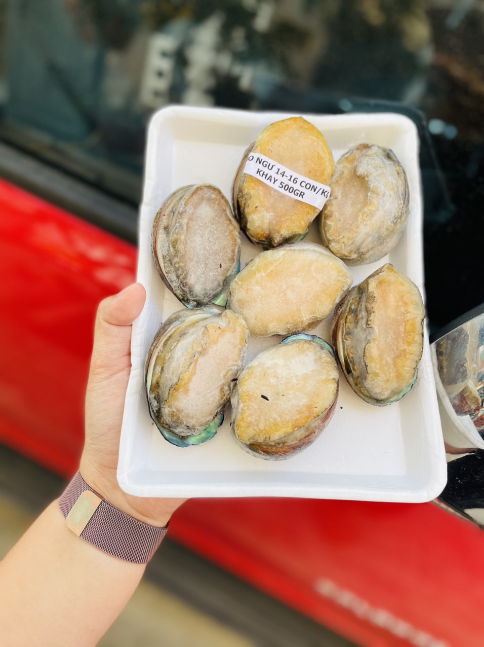 Nơi Bán Bào Ngư 14-16con