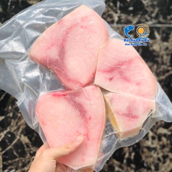 Nơi Bán Phi Le Cá Cờ Kiếm