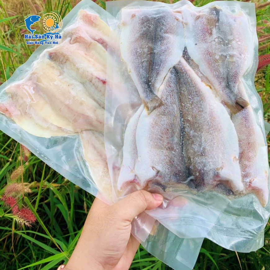 Địa Chỉ Mua Cá Đù 1 Nắng