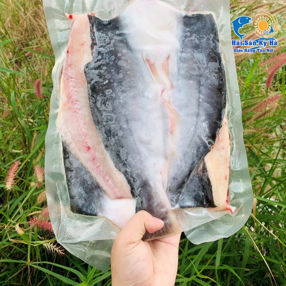 Mua cá dứa ở đâu ngon tại Tp HCM